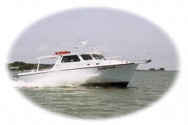 Sawyer Chesapeake Bay Fishing Charters On Maryland's Eastern Shore!