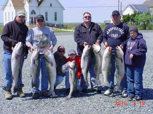 Chesapeake Bay Rockfish!!