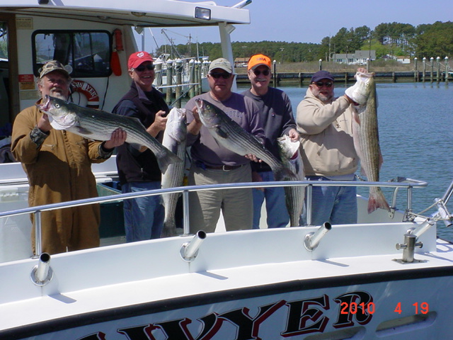 Chesapeake Bay Striper Fishing!