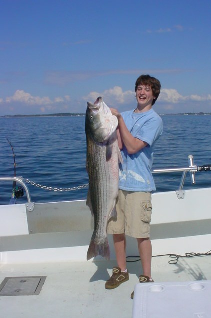 Monster Chesapeake Bay Striped Bass! Sawyer Chesapeake Bay Fishing Charters From Maryland's Eastern Shore!