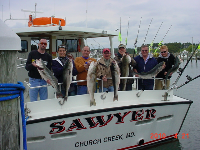 Another full limit of Chesapeake Bay Stripers!
