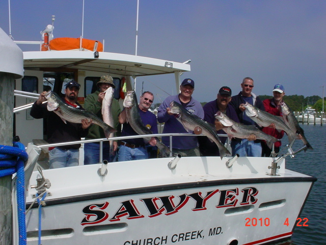 Chesapeake Bay Rockfish!