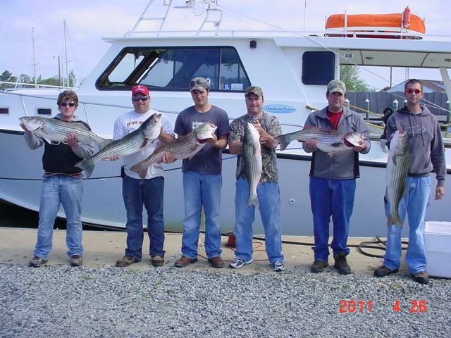 Chesapeake Bay Striped Bass Fishing Charters