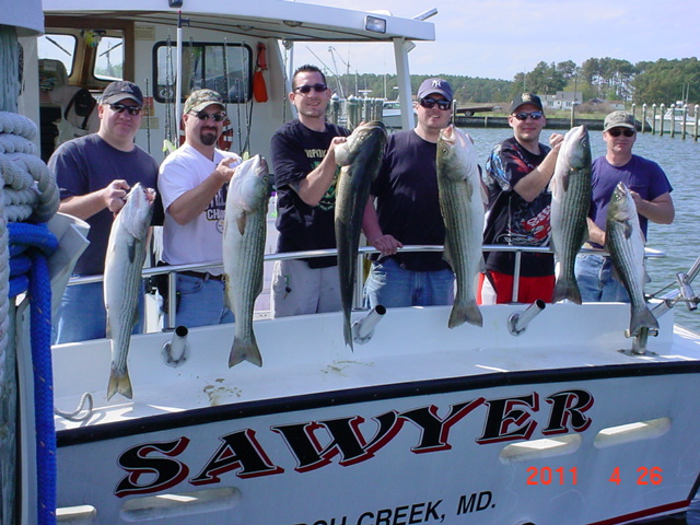 Maryland Fishing Trips for Rockfish