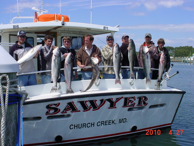 Chesapeake Bay Maryland Rockfish!