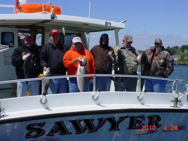 Rockfish on the Chesapeake Bay!