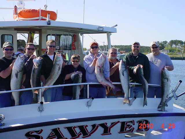 Chesapeake Bay Rockfish from Maryland's Eastern Shore!