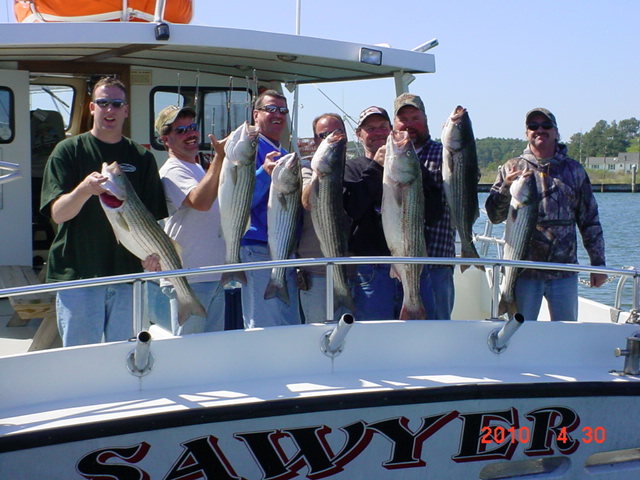 Chesapeake Bay Rockfish Charters!