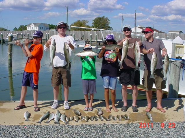 Chesapeake Bay Striped Bass Fishing Charters