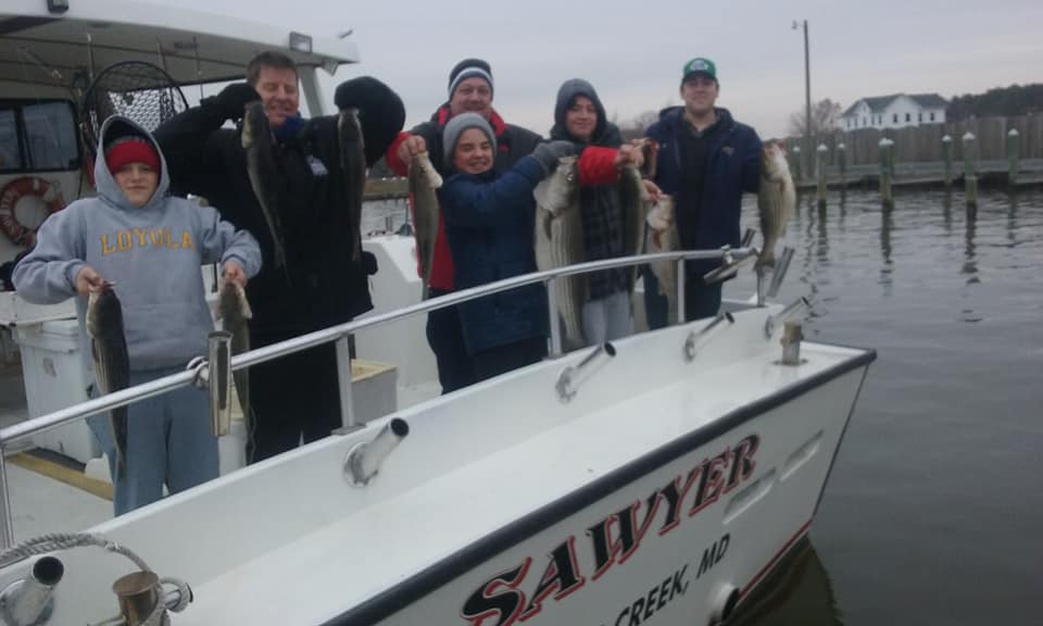 Chesapeake Bay Striped Bass Fishing Charters!