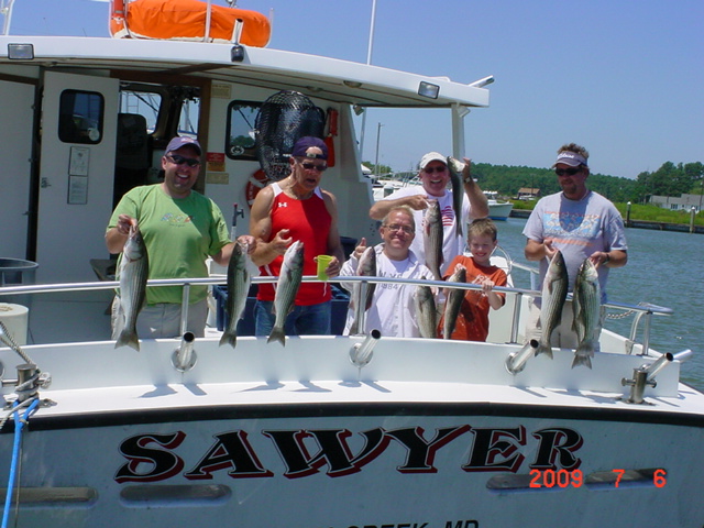 Chesapeake Bay Striped Bass, Rockfish, Stripers