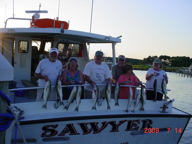 Striped Bass Fishing Charters on Maryland's Chesapeake Bay