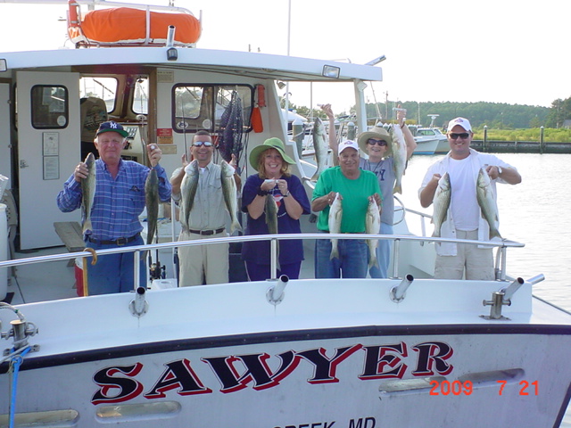 Striped Bass, Rockfish, Caught on Maryland's Chesapeake Bay
