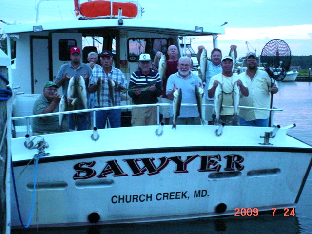 Chesapeake Bay Striped Bass, Maryland Rockfish, Stripers!
