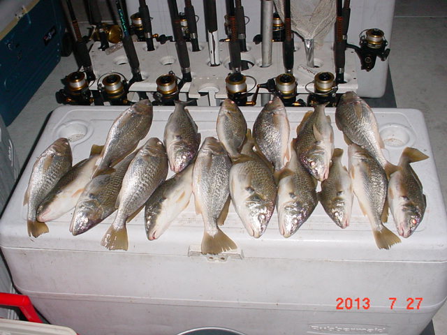 Chesapeake Bay Croaker Fishing From Maryland's Eastern Shore! - Sawyer Chesapeake Bay Fishing Charters From Maryland's Eastern Shore!