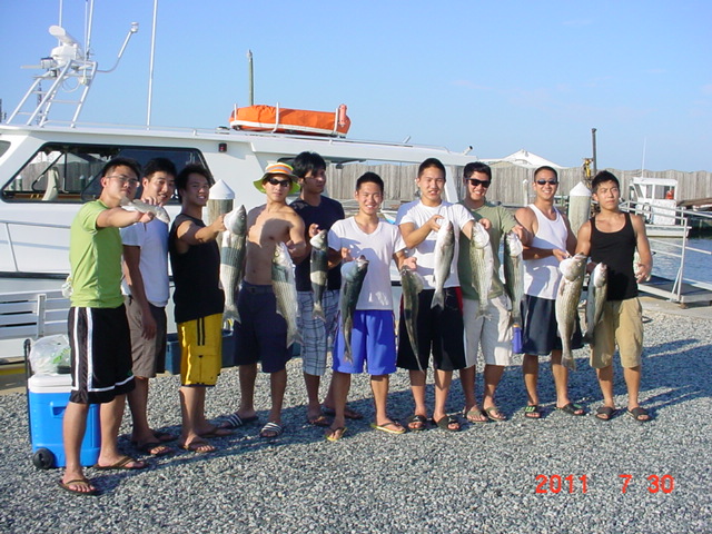 Maryland Fishing Charters for Striped Bass