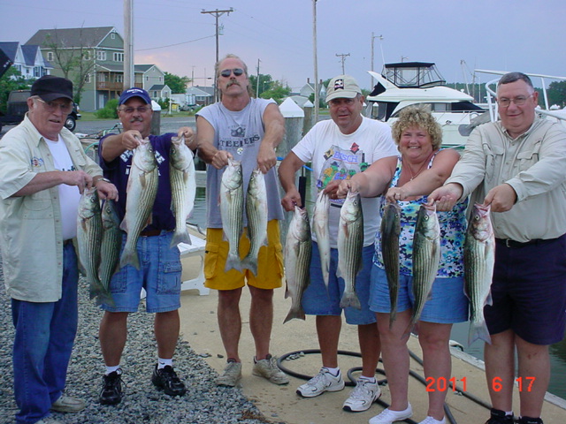 Chesapeake Bay Rockfish Off Maryland's Eastern Shore