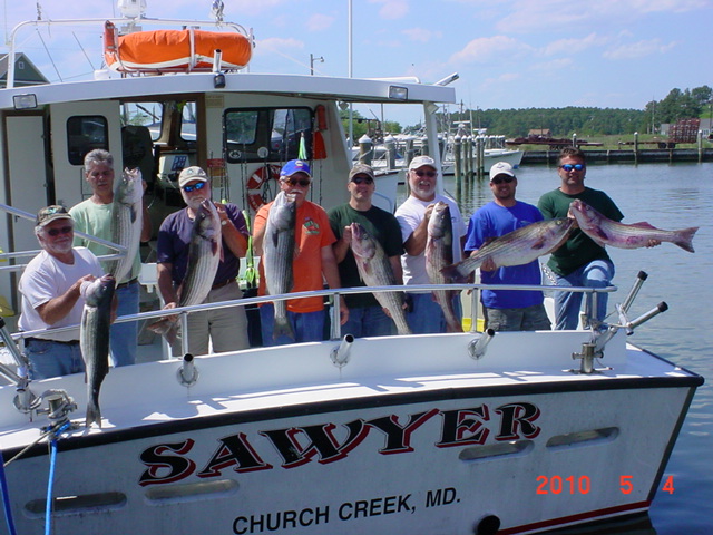Chesapeake Bay Fishing Charters for Rockfish!