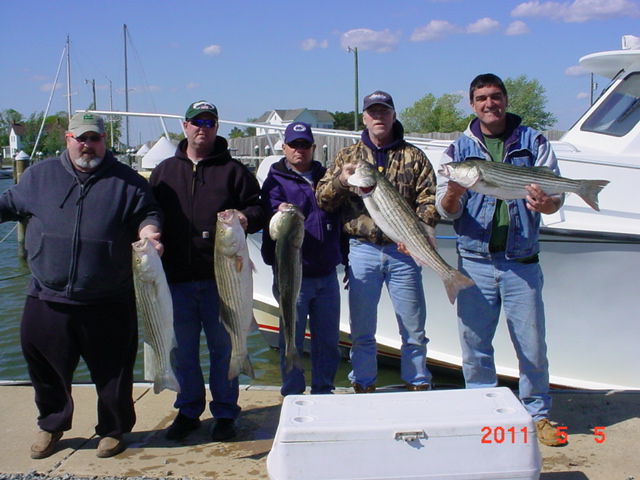 Chesapeake Bay Fishing Charters for Maryland Striped Bass!