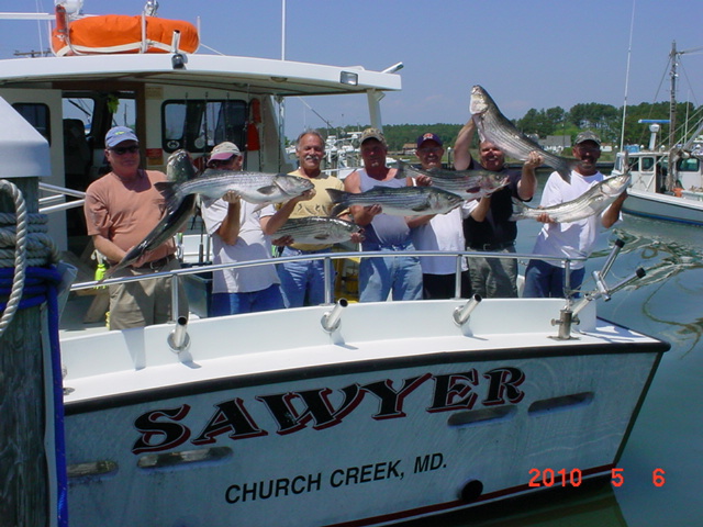 Chesapeake Bay Striped Bass Fishing Charters!!
