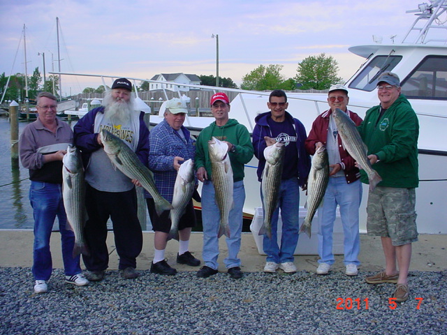 Chesapeake Bay Rockfish Charters!