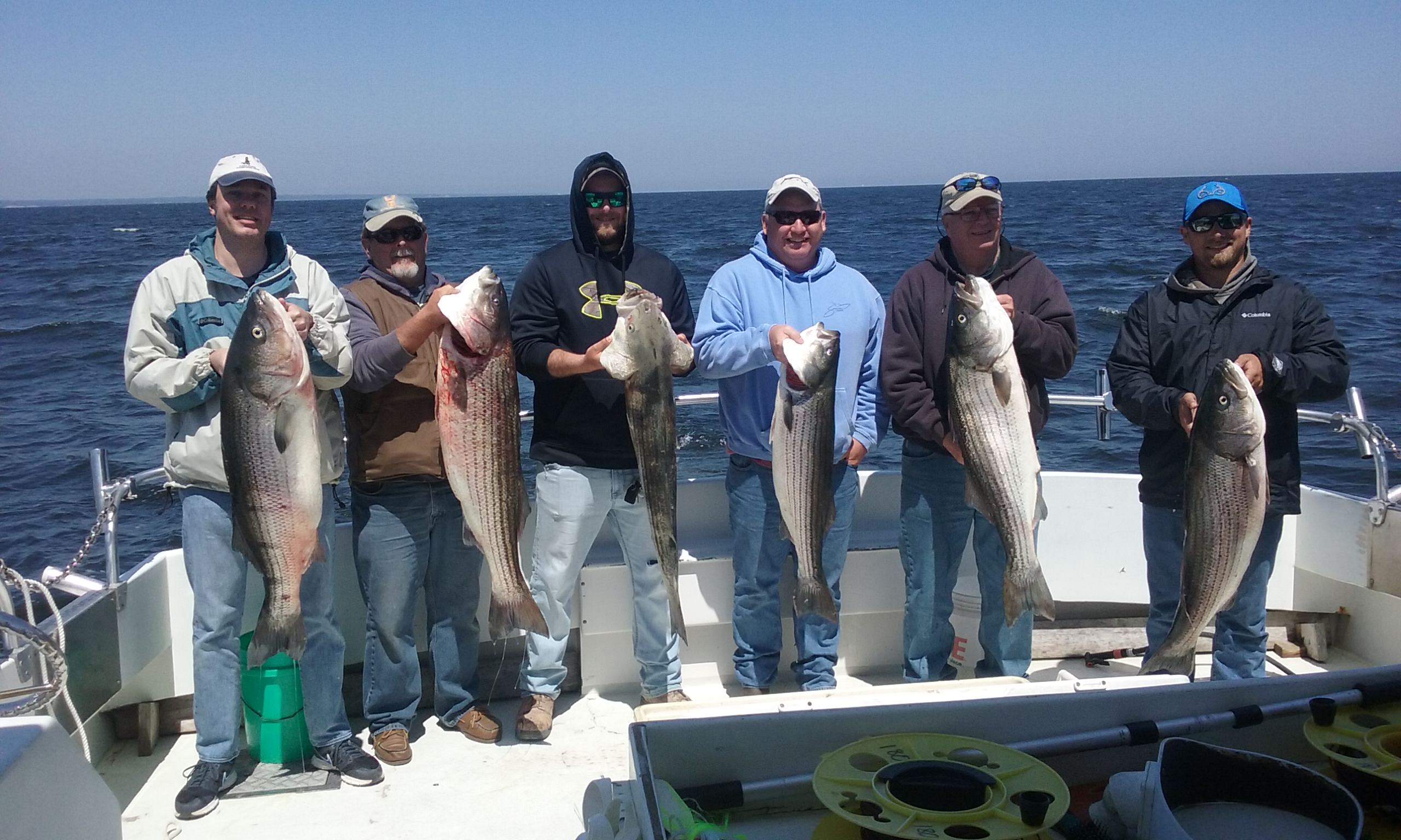 First Full Chesapeake Bay Rockfish Limit of 2018!
