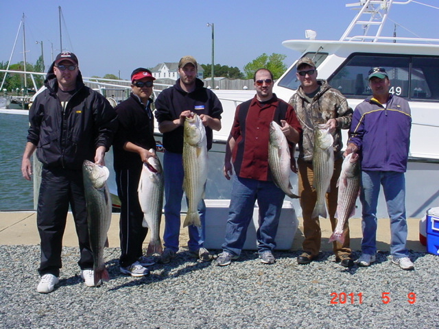 Chesapeake Bay Striped Bass Fishing Charters