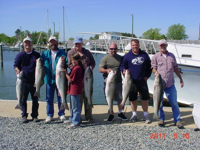 Another Full Limit of Chesapeake Bay Rockfish!