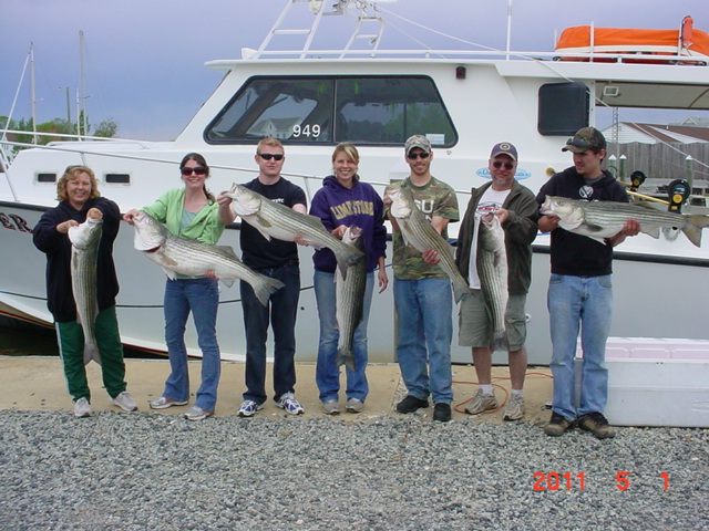 Another Legal Limit of Chesapeake Bay Striped Bass!