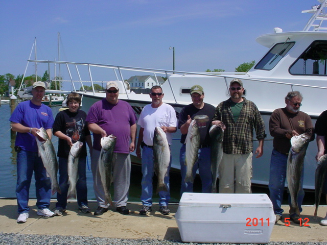 Maryland Rockfish!