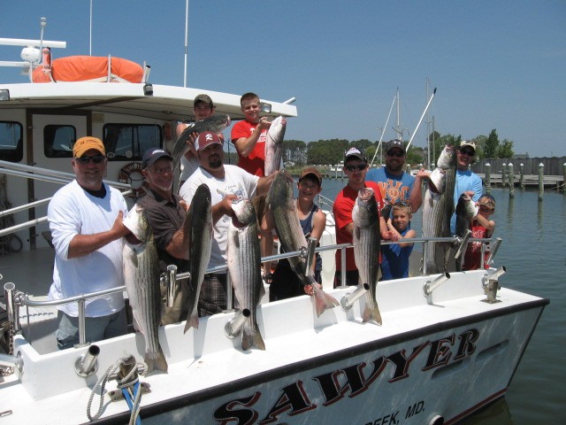 A Full Limit Of Chesapeake Bay Rockfish! Sawyer Chesapeake Bay Fishing Charters From Maryland's Eastern Shore!