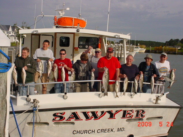 Striped Bass Caught on the Chesapeake Bay off of Maryland's Eastern Shore!