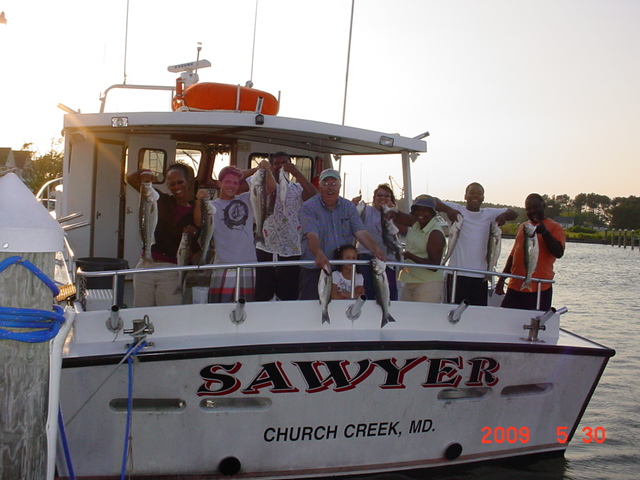 Chesapeake Bay Striped Bass