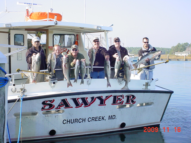Another Full Limit Day of Maryland Rockfish on the Chesapeake Bay!