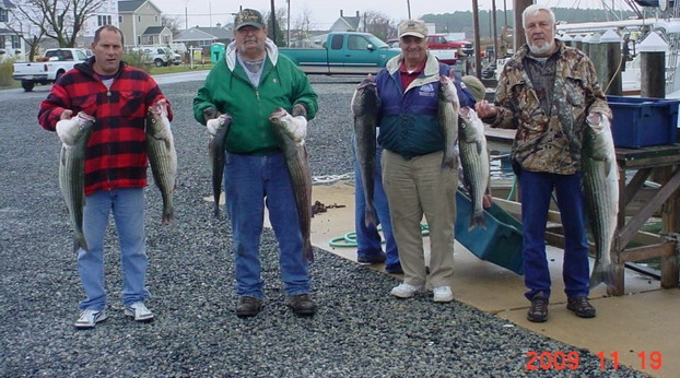 More Big Rockfish Caught on the Chesapeake Bay!!