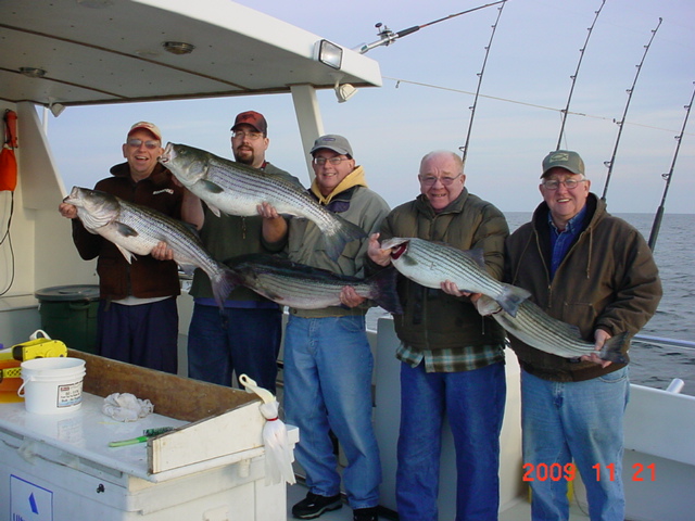 More BIG Chesapeake Bay Stripers from Maryland's Eastern Shore!!