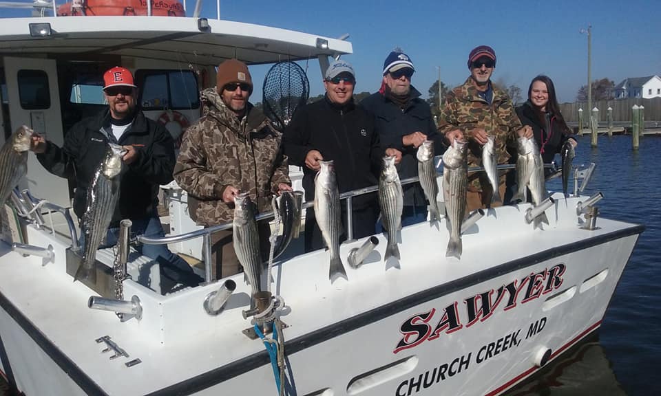 Chesapeake Bay Fishing Charters for Rockfish from Maryland's Eastern Shore!
