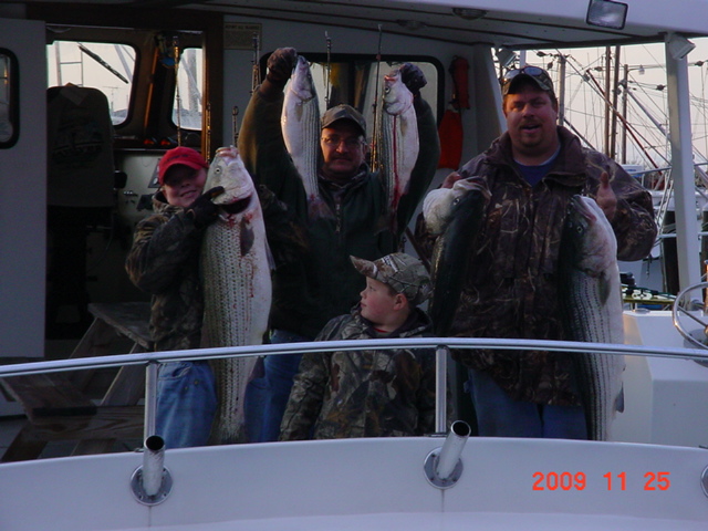 BIG Trophy Maryland Striped Bass, Rockfish on the Chesapeake Bay!