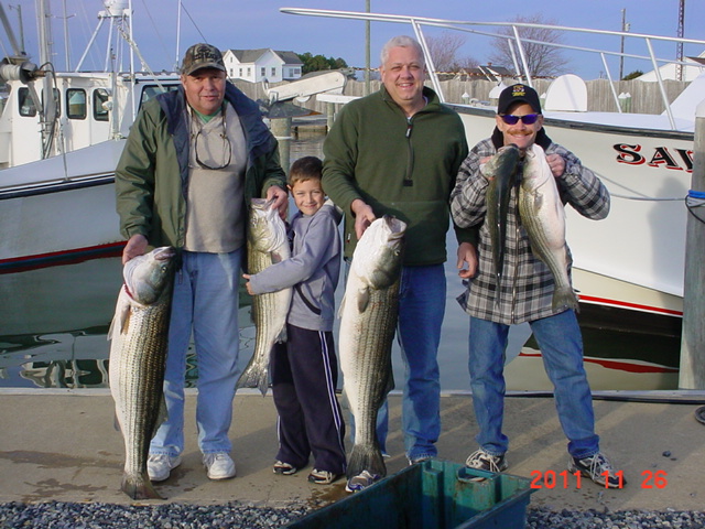Another great catch of Maryland rockfish!