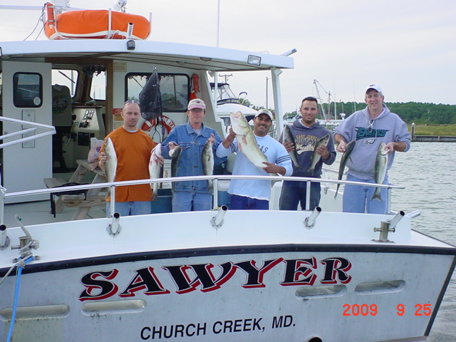 Maryland Striped Bass Rockfish on the Chesapeake Bay!!