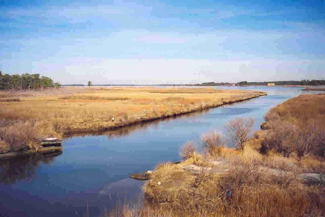 Stewart's Canal Near Madison